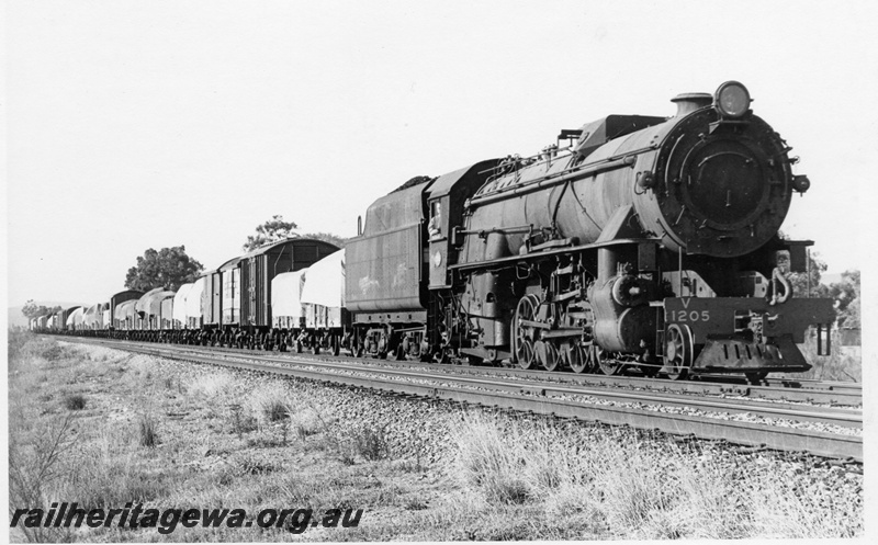 P17522
V class 1205, on No 24 goods train, ER line, side and front view
