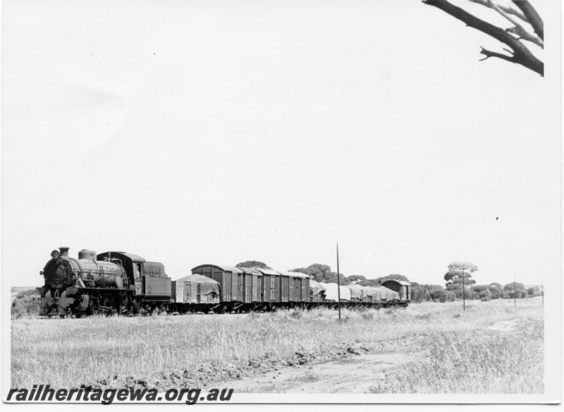 P17525
W class 903, on No 69 goods train, Narembeen, NKM line
