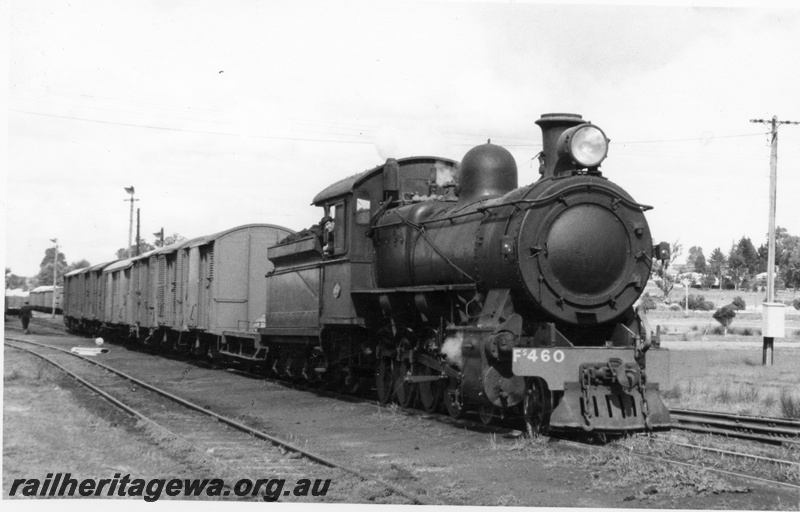 P17645
FS class 460 steam locomotive shunting at Collie. BN line. Note varied types of covered wagons and cheese knob points.

