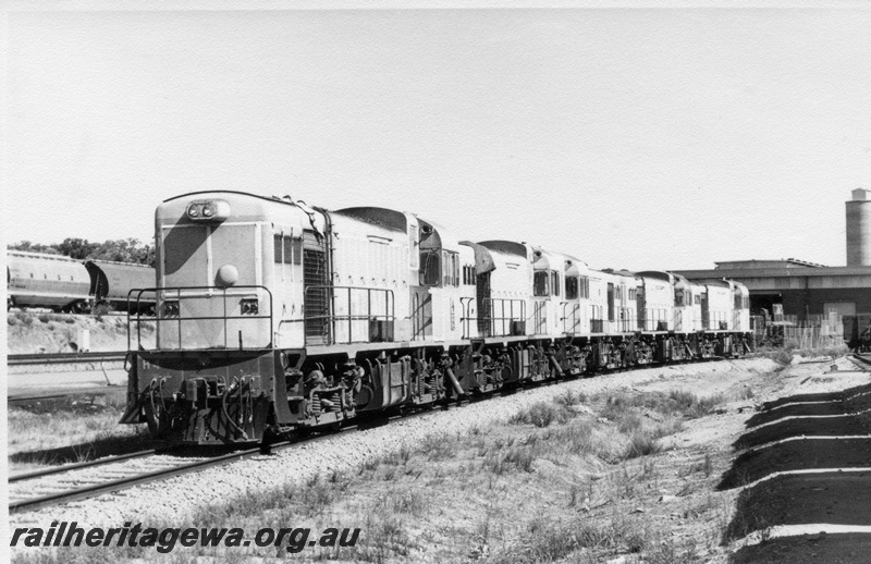 P17843
H class 4, H class 1, H class 3, H class 2, & H class 5 diesel locomotives stored at Avon Yard following completion of construction of the standard gauge line to Kalgoorlie. ER line. Note the wheat hopper wagons to left of locomotives, portion of the CBH grain silo in background, maintenance buildings and narrow gauge wagons.
