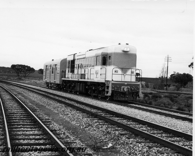 P17856
K class 203 diesel locomotive with  WBA class 805 brakevan no high speed trials arriving at East Northam. EGR line. In the foreground are the narrow gauge lines.

