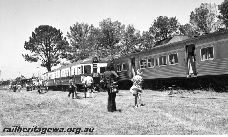 P18174
Opening of the Railway Museum, Bassendean, railcars, visitors, trees
