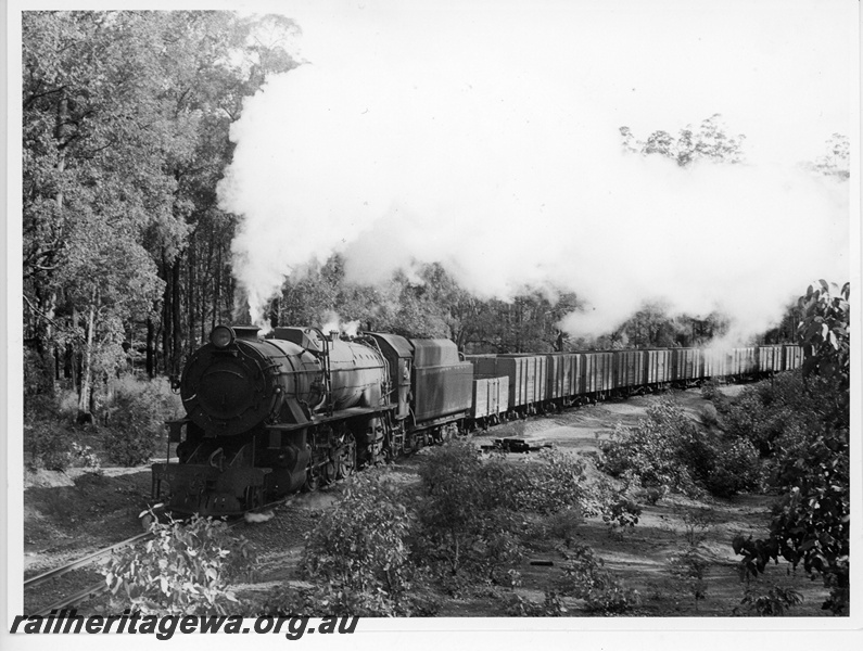 P20097
V class 1215 on goods train, forest setting, front and side view
