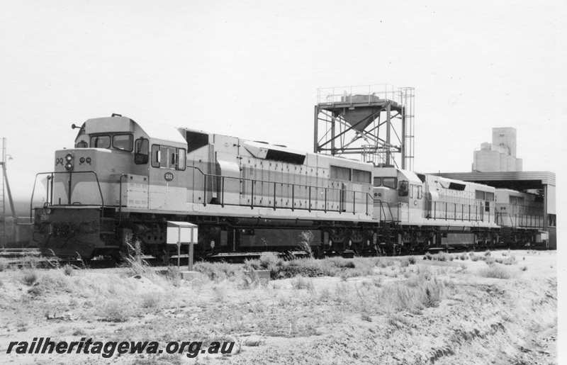 P21738
L class 261  and 2 other unidentified L class , West Merredin locomotive depot. EGR line.
