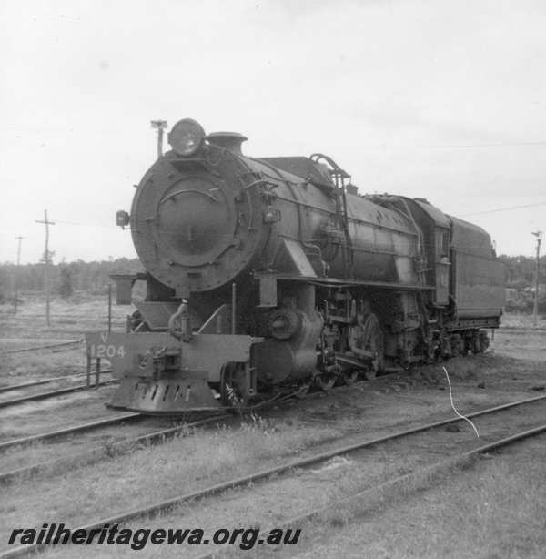 P21784
V class 1204 at Collie Locomotive depot. BN line, front and side view
