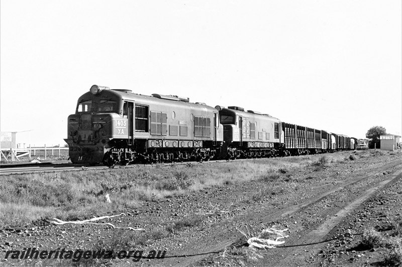 P22807
XA class 1405 and XA class 1409, about to depart with No 192 goods including TA class cattle bogie wagons, station building, Leonora, KL line, front and side view
