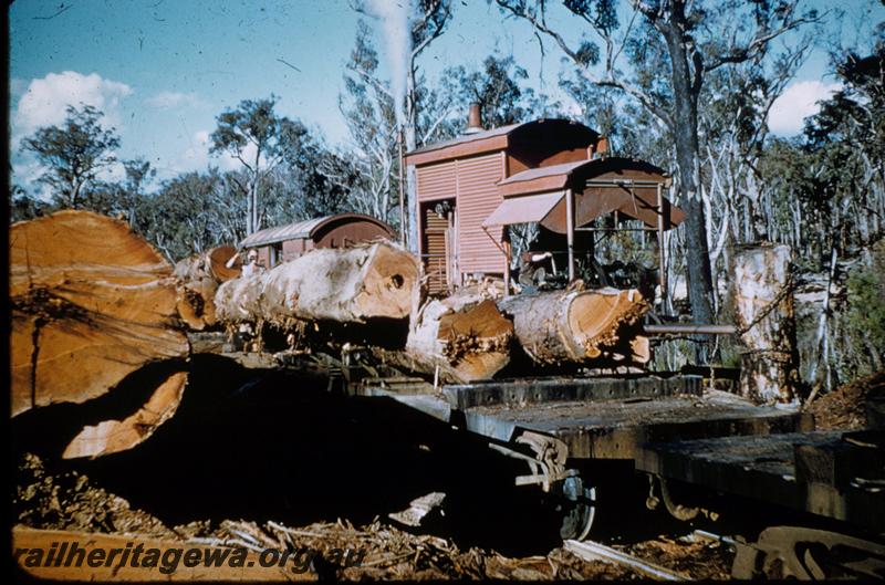 T00253
Bush landing, loading logs onto rail wagons
