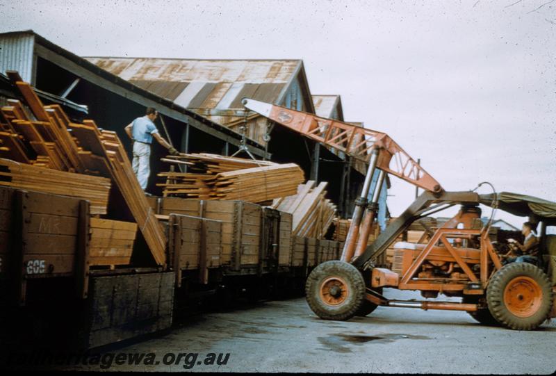 T00256
R class wagons, timber loads, Banksiadale Mill?, loading wagons
