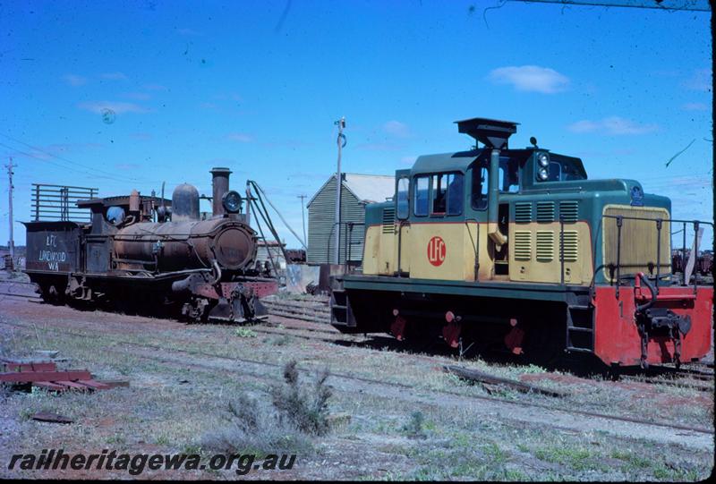 T00263
Lakewood Firewood Co. 0-6-0 diesel loco, G type steam loco at Lakewood, possibly on ARHS Vic Div visit
