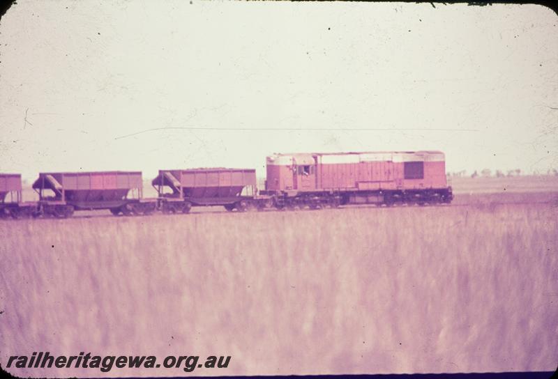T00675
Goldsworthy Mining loco, ore wagons, Pilbara, Iron ore train
