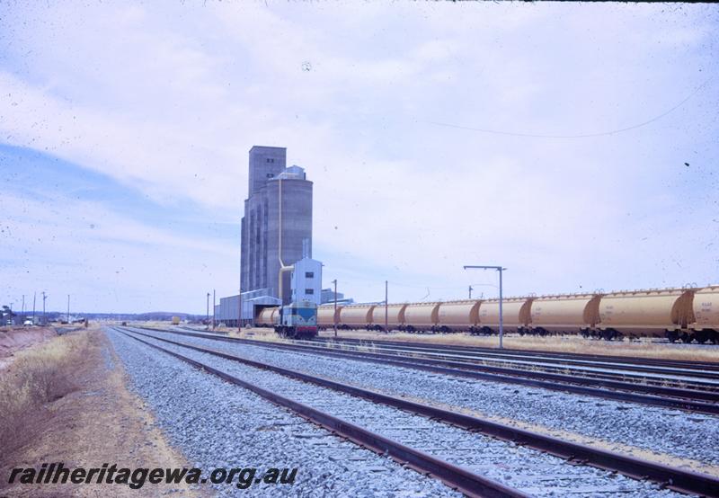 T00755
Standard Gauge mainline, grain silo, West Merredin Yard
