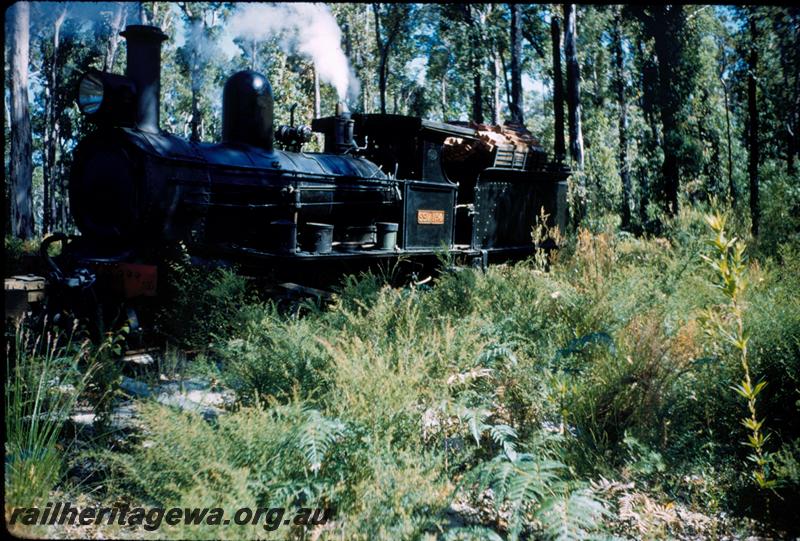 T00829
SSM loco No.4, on bush line
