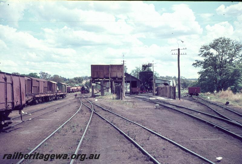 T01072
Loco depot, water tower, Bridgetown, PP line, view down the tracks.
