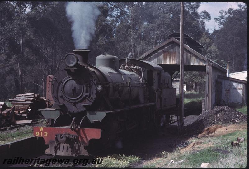 T02234
W class 913, loco shed, elevated coal road, Pemberton, PP line
