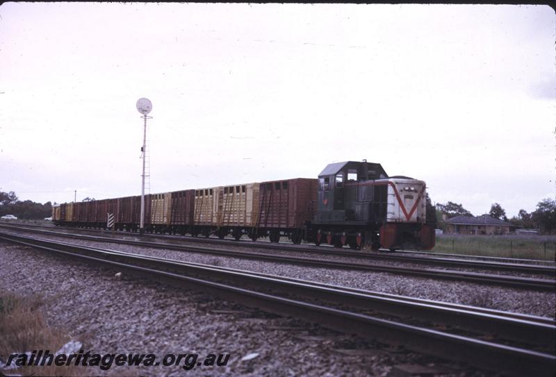 T02591
B class 1605, Midland, shunting livestock wagons
