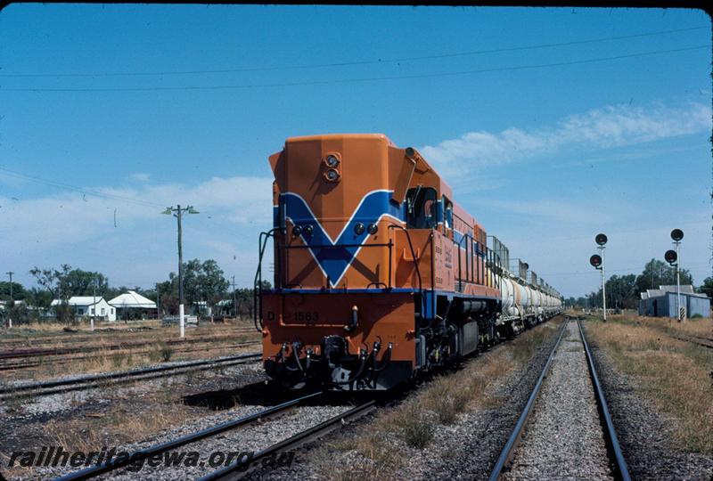 T02941
D class1563, Pinjarra, SWR line, head on view
