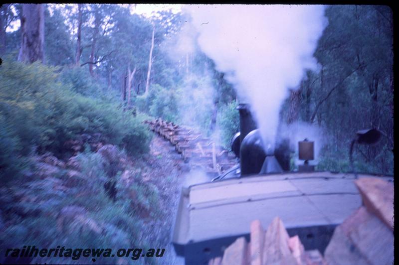 T03030
SSM loco hauling empty log rake, view back along train
