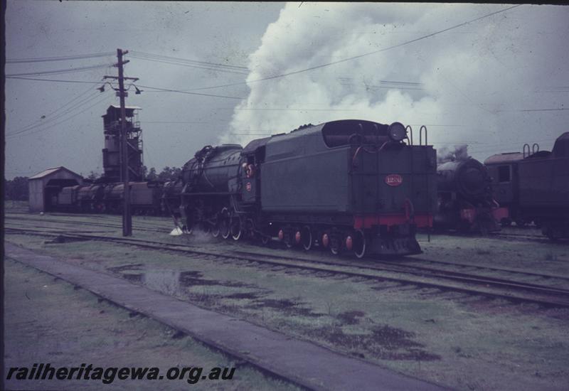 T04157
V class 1220, line of stowed locos, coaling tower, Collie, BN line, on ARHS tour train
