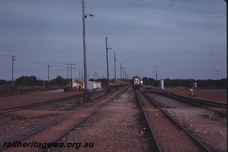 T04273
Yard, Kwinana, general view along the tracks, Y class loco in the background
