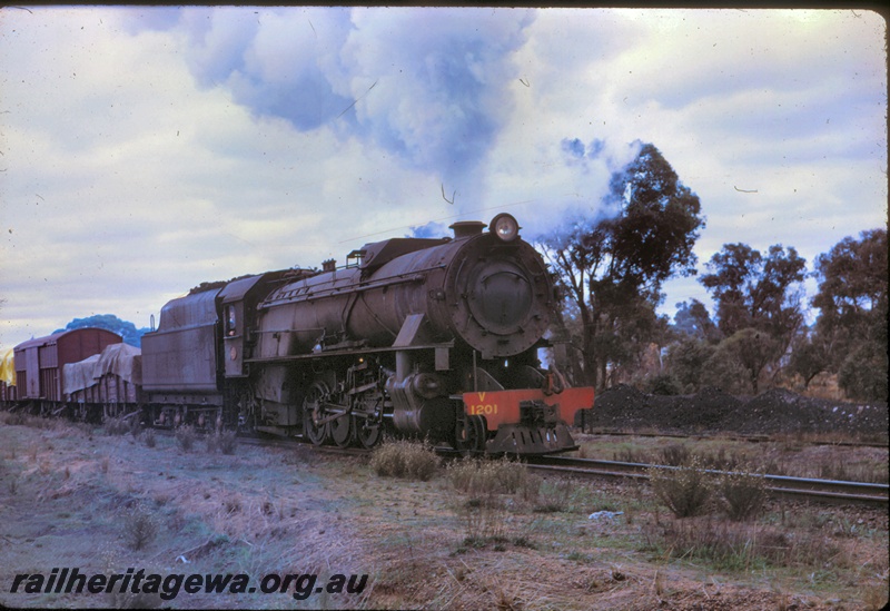 T04372
V class 1201, on goods train, Narrogin, side and front view
