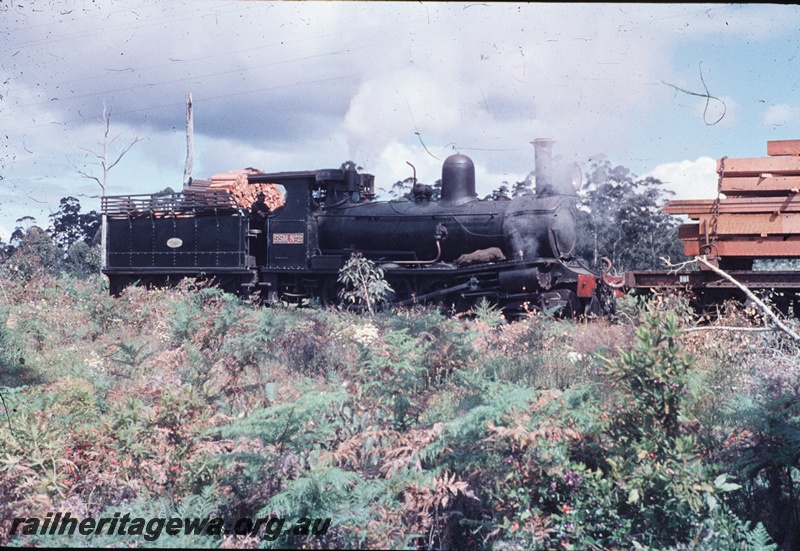 T04551
State Saw Mills loco SSM No.2  with a load of sawn timber, mainly a side on view
