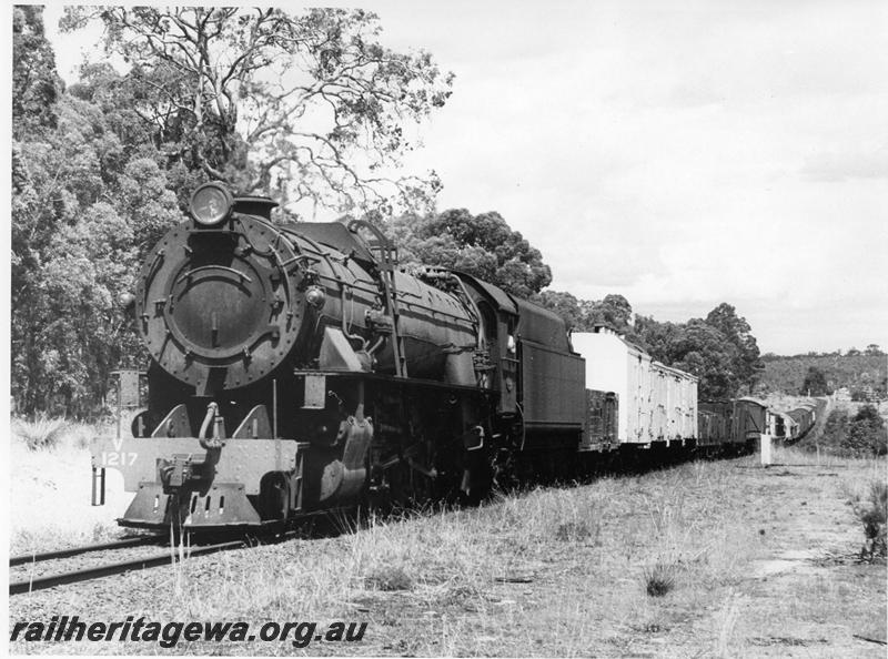 P00732
V class 1217, goods train, same train as in P0717 and P0719
