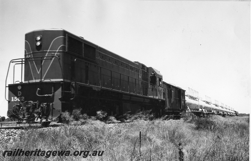 P01549
D class 1562 on a caustic soda train, end and side view, Pinjarra, SWR line
