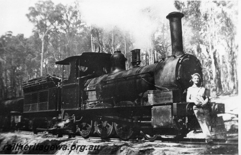 P02191
Bunnings loco 