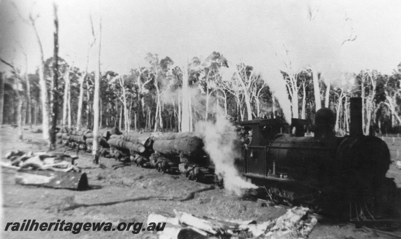 P02790
Adelaide Timber Co. loco Y 71, East Witchcliffe, hauling a log train, c1935
