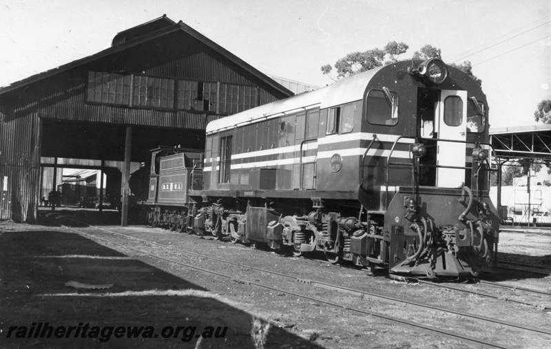 P03419
MRWA B class 6 steam locomotive, view of tender in the shed, side and front of MRWA G class 50 diesel locomotive in front of shed, Midland Junction, MR line.
