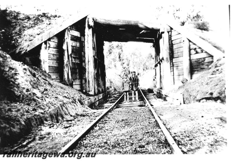 P04413
Railway subway taking the Adelaide Timber Company's line under the WAGR line, Wilga, view looking along the track.
