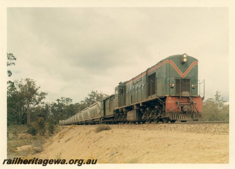 P04429
R class 1901, bauxite train, side and end view of loco
