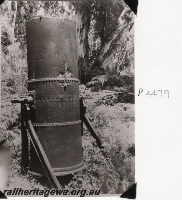 P04479
M. C . Davies boiler at Karridale
