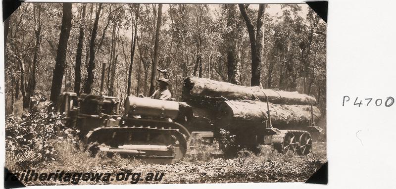P04700
Bulldozer hauling logs

