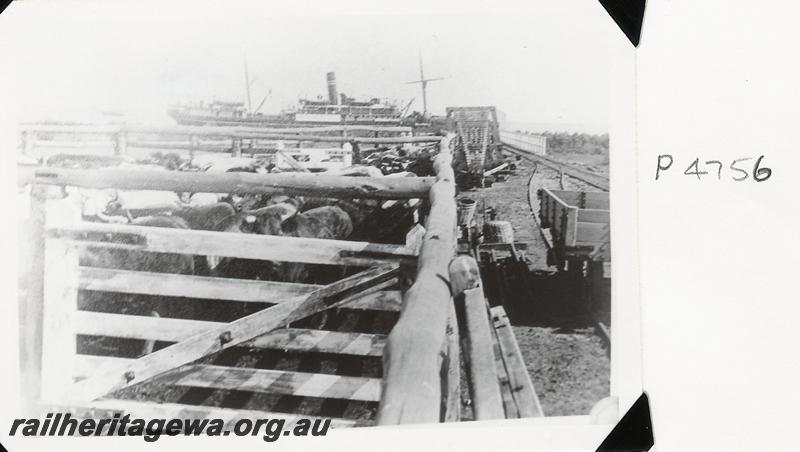 P04756
NW coastal port, cattle pens, ship in background
