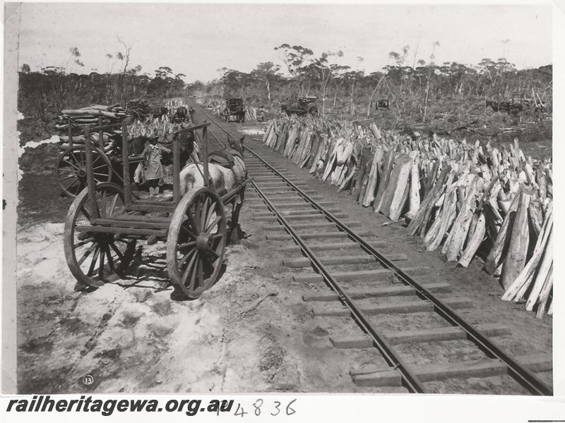 P04836
Horse and dray, track, stacks of firewood stacked vertically alongside the track, on Kurrawang bush line
