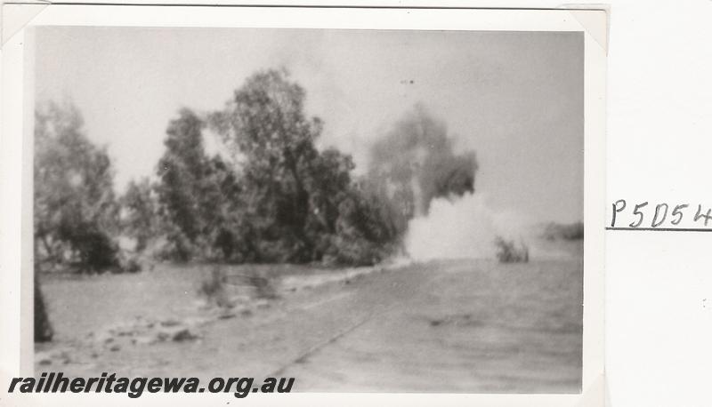 P05054
Flooded track, Shaw River?, Port Hedland to Marble Bar Railway, PM line, copy photo
