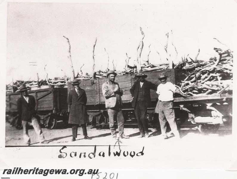 P05201
G class wagons, workers, wagons loaded with sandalwood.
