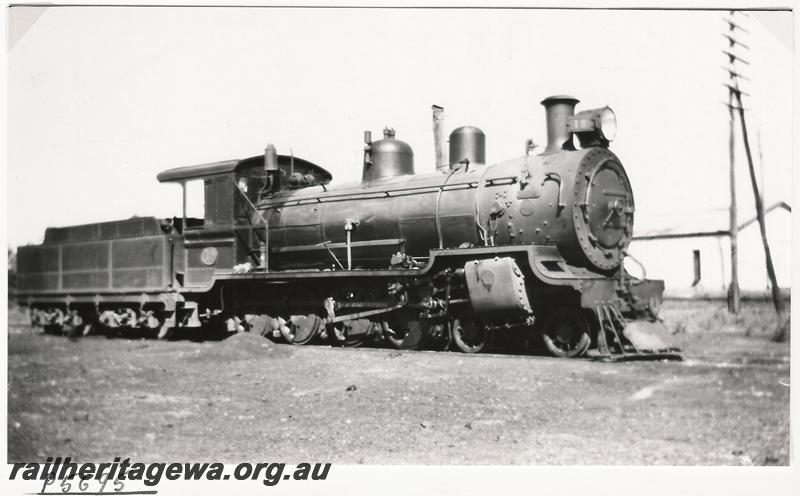 P05695
MRWA loco D class 19, Midland Junction, side and front view
