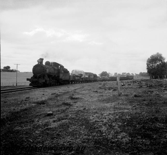 P06081
F class, arriving at Williams, BN line, goods train
