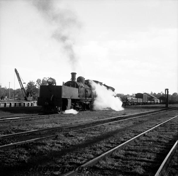 P06126
MS class 426 Garratt loco, station yard, Donnybrook, PP line, shunting
