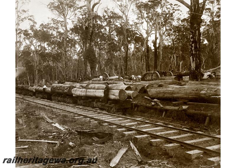 P06674
Bush landing, Jarrahdale bush, shows jinkers loaded with logs
