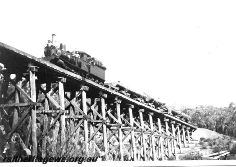 P07088
G class loco hauling a log train over the Asquith Bridge
