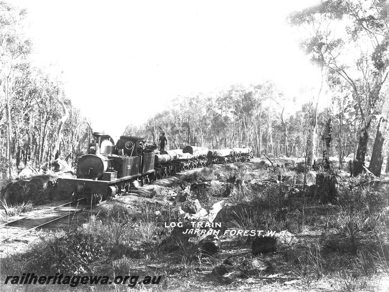 P07183
Millars tender and tank type loco hauling a log train possibly on the Canning Mills line
