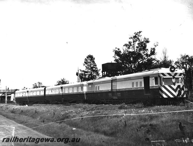 P07487
Wild flower railcar set, ADF class 490 