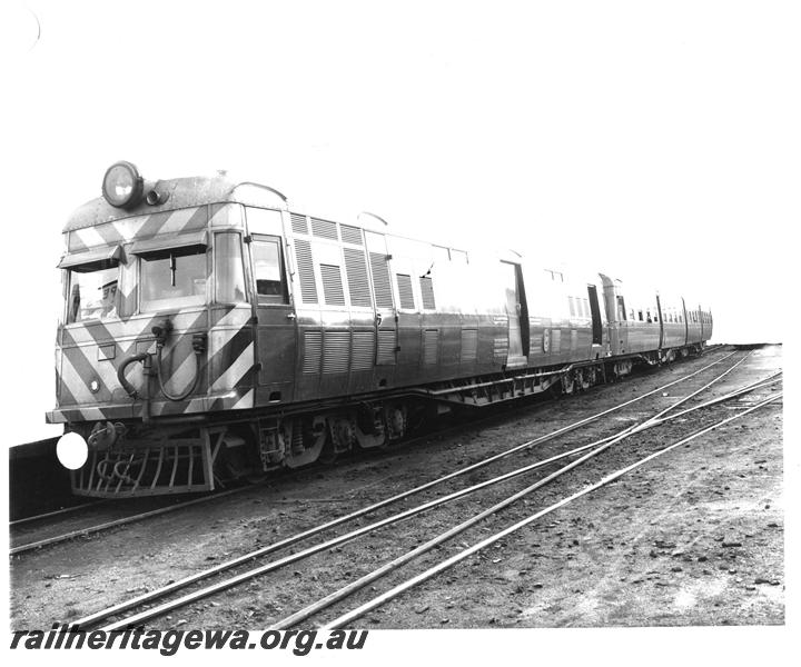 P07490
Wildflower railcar set, ADF class, front and side view.
