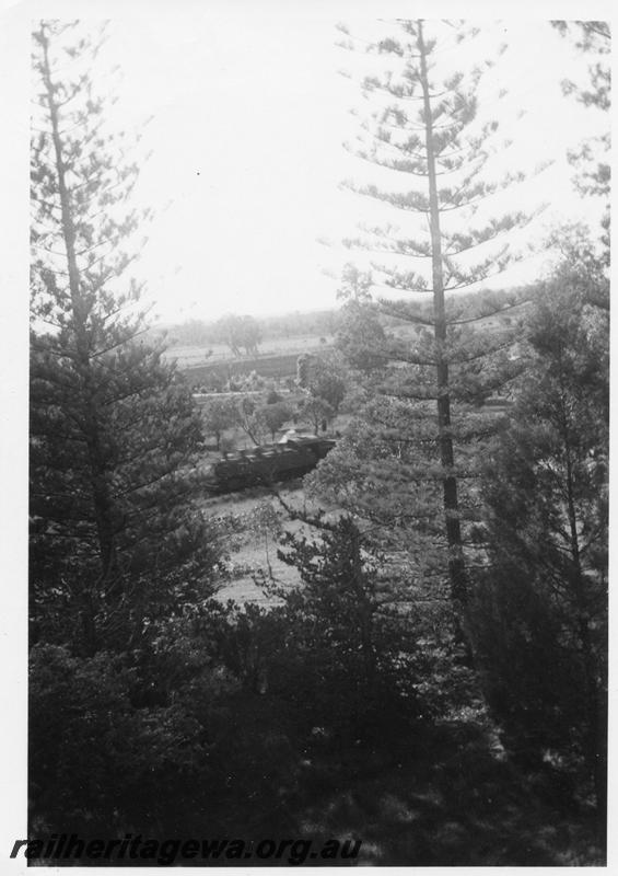 P08077
DD class or DM class loco, Hamel, SWR line, distant view of the loco from within the pine plantation
