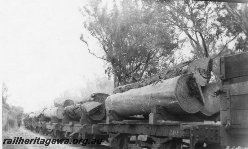 P08296
Millars wagons loaded with logs
