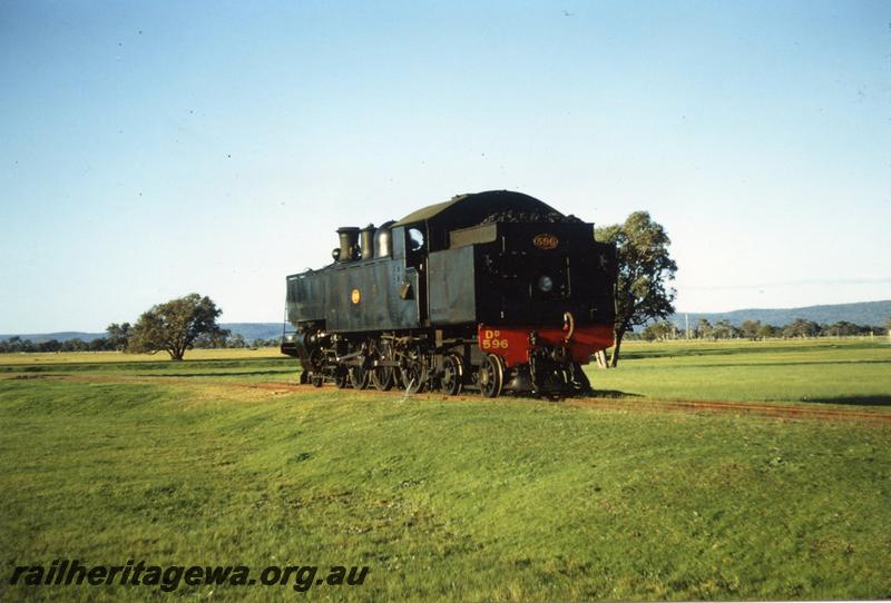 P08360
DD class 596, Isandra, PN line, on ARHS tour train, side and end view.
