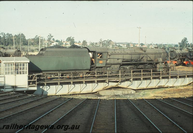 P09974
V class 1214, turntable, W class in background, Collie loco shed. BN line.
